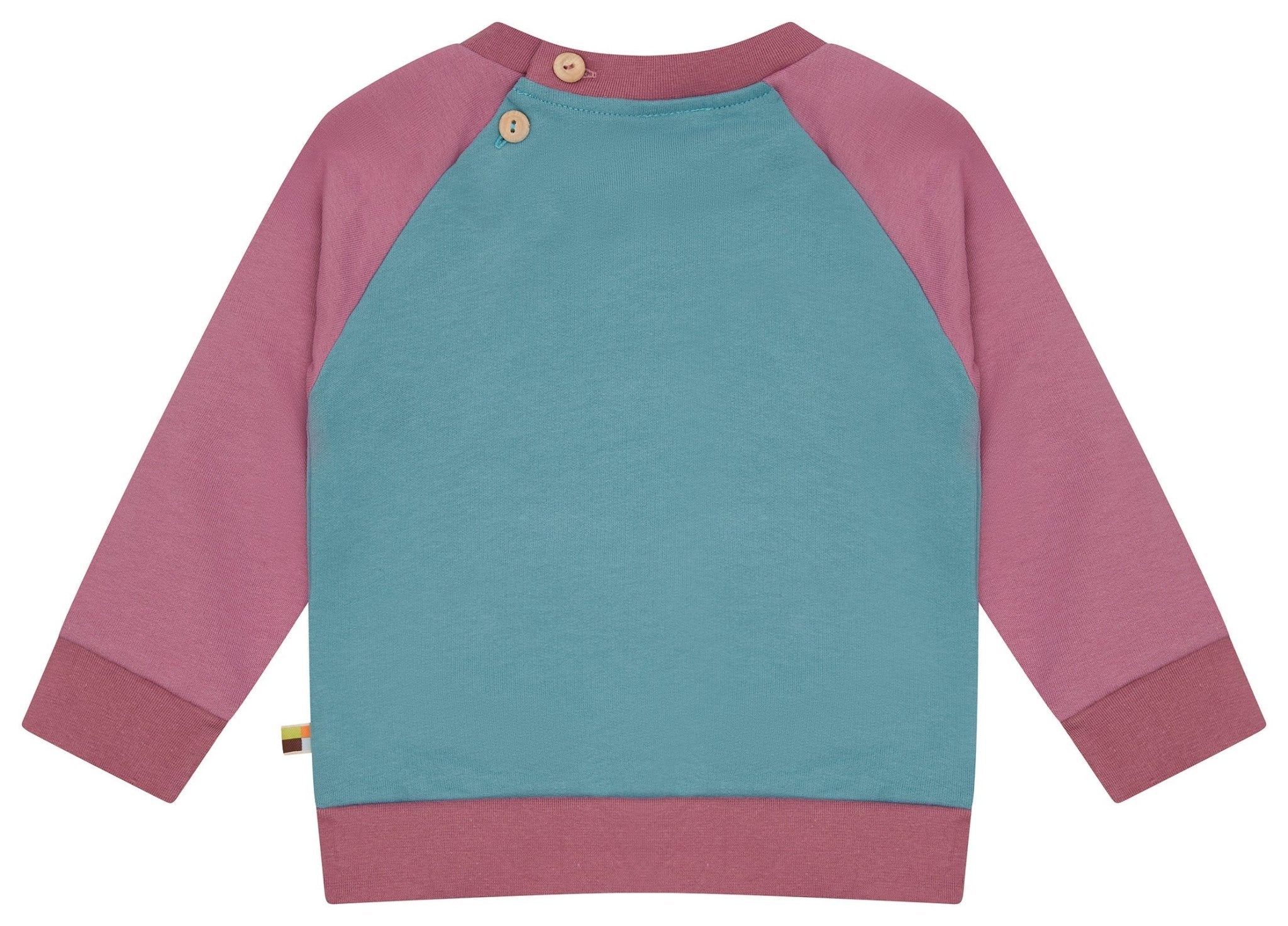 Sweatshirt Colorblock - loud + proud - 1196 - top/grp - 62/68