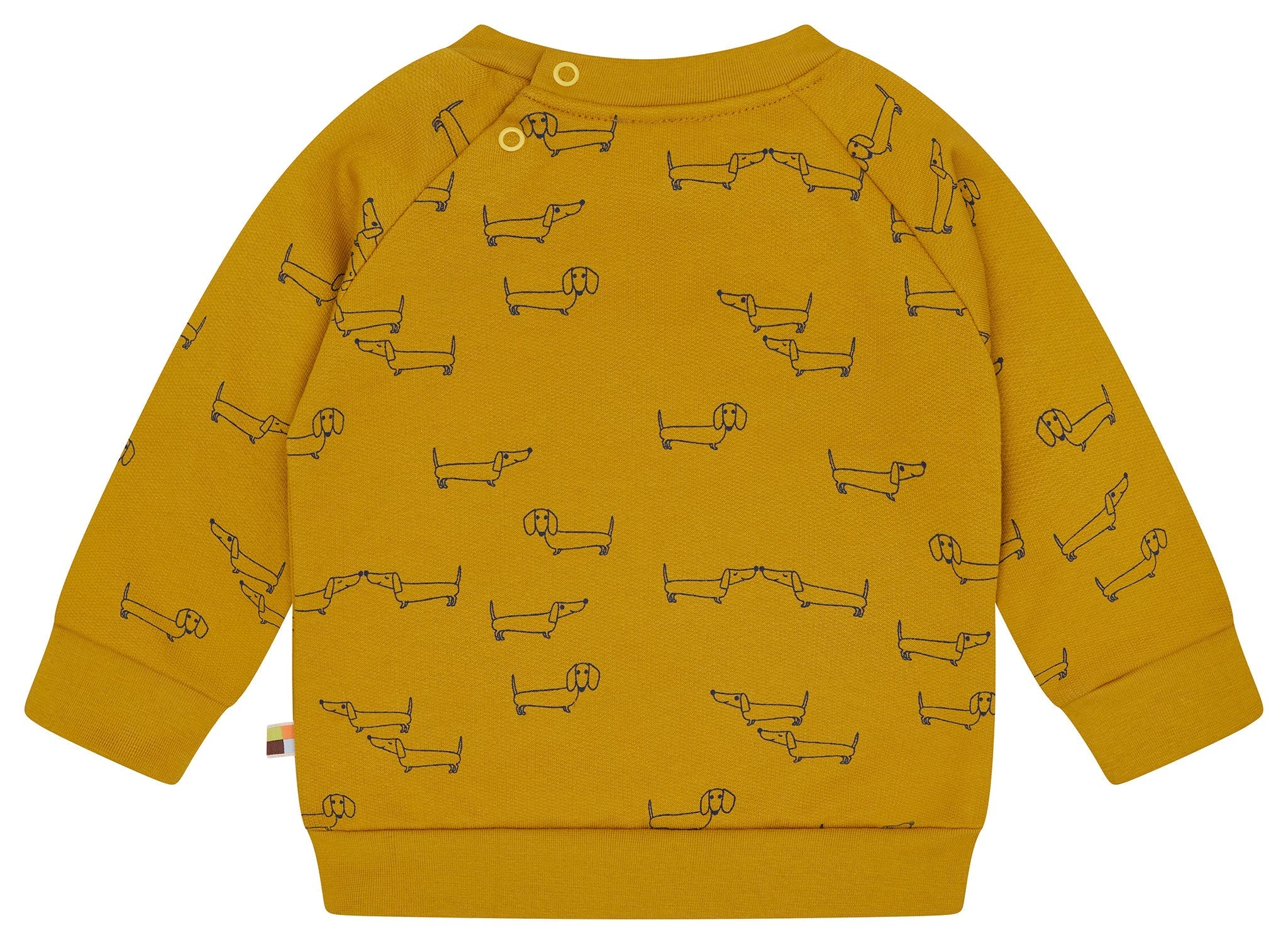 Sweatshirt mit Alloverdruck - loud + proud - 1200 - cur - 62/68