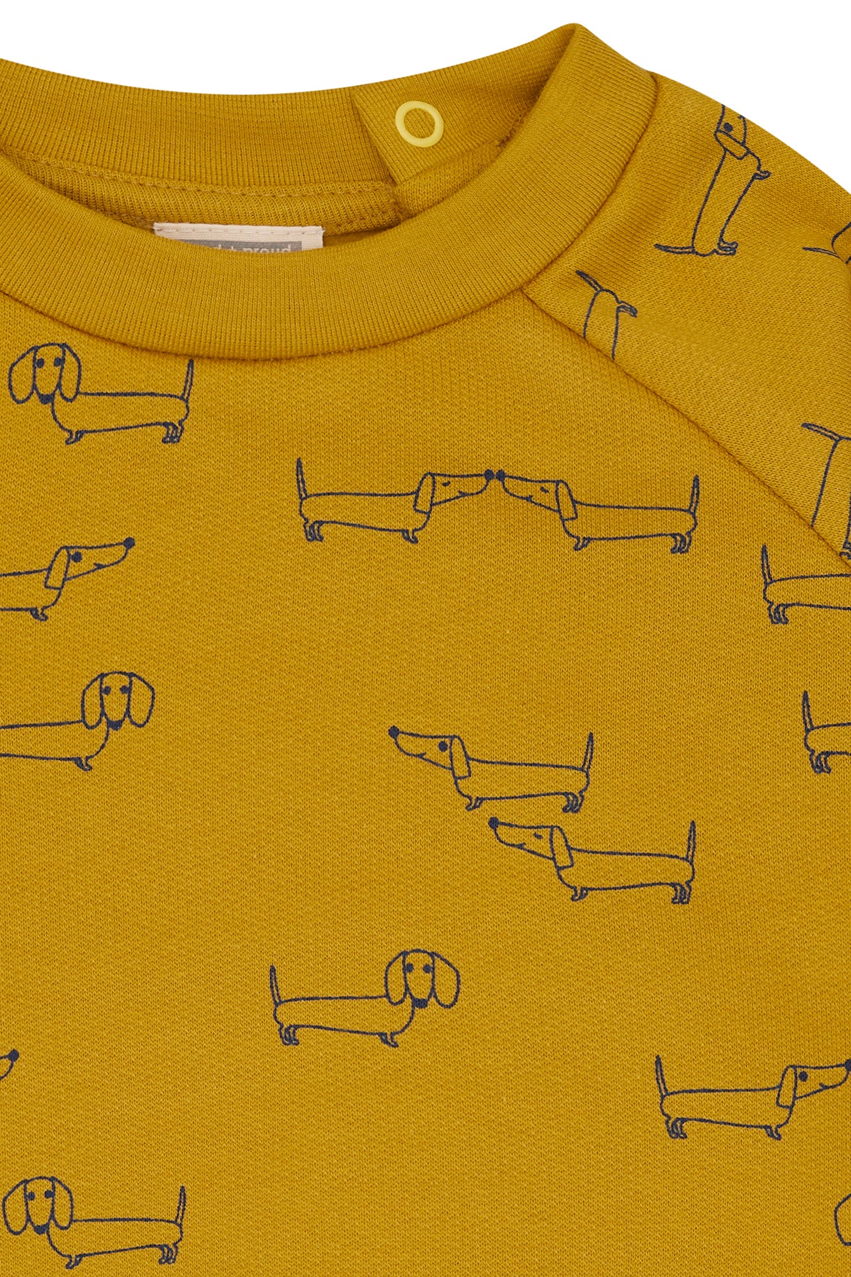 Sweatshirt mit Alloverdruck - loud + proud - 1200 - cur - 62/68