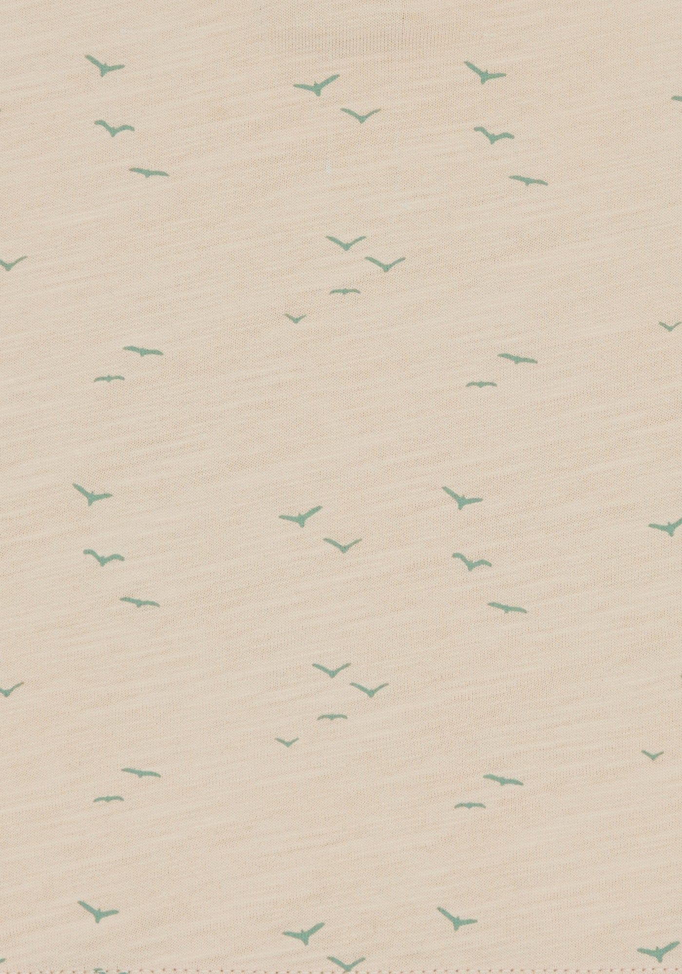 T-Shirt Slub Jersey - loud + proud - 1181 - van - 62/68