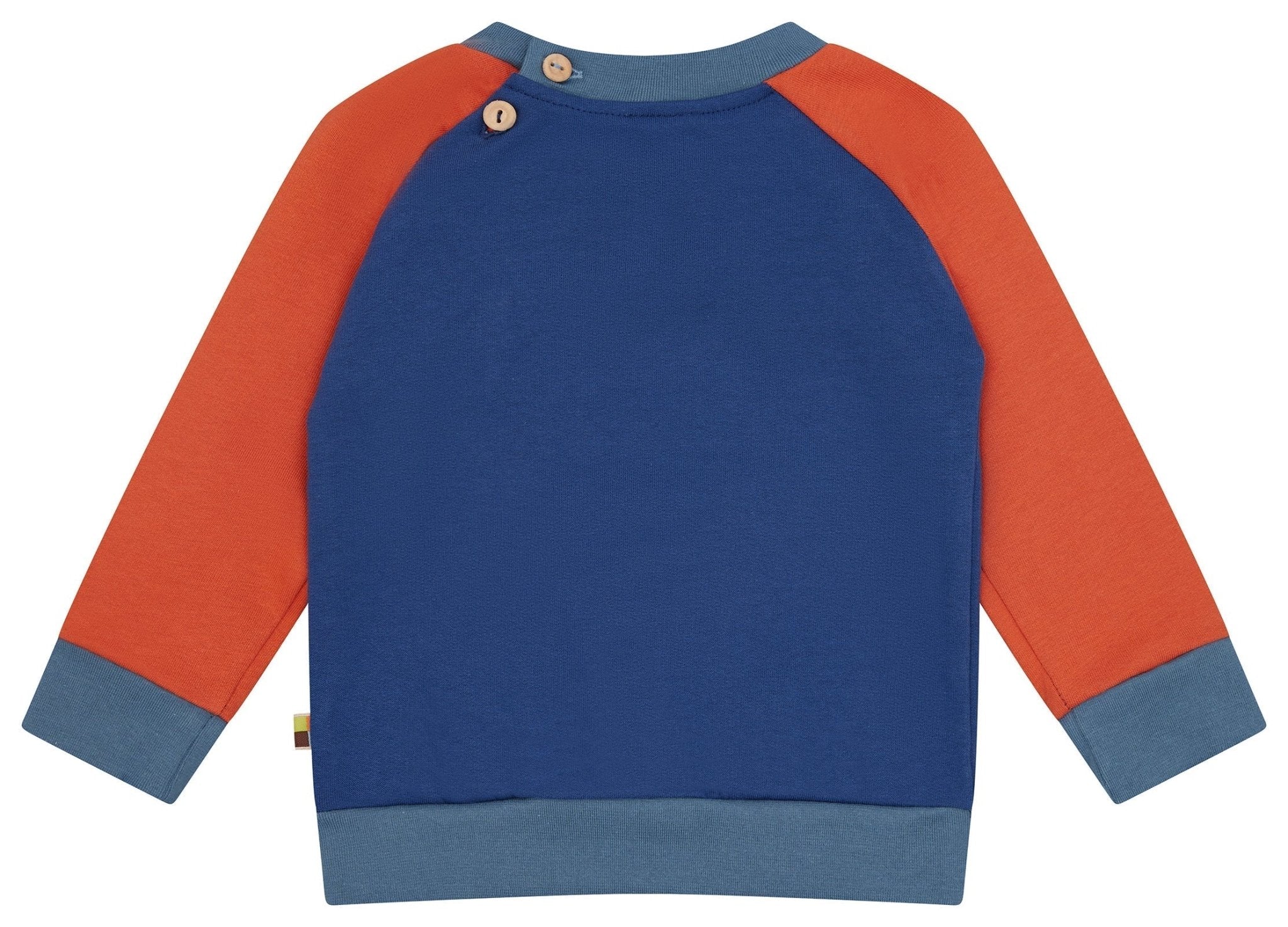 Sweatshirt Colorblock - loud + proud - 1196 - ul/cin - 62/68
