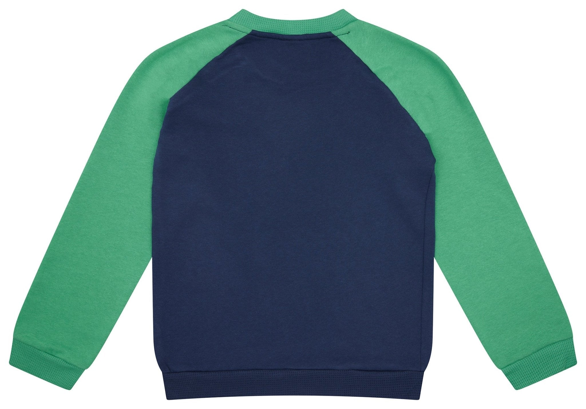 Sweatshirt mit Raglanärmeln - loud + proud - 1160K - ul/pla - 134/140